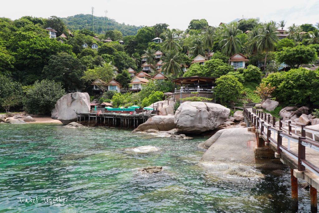 Koh Tao Hillside