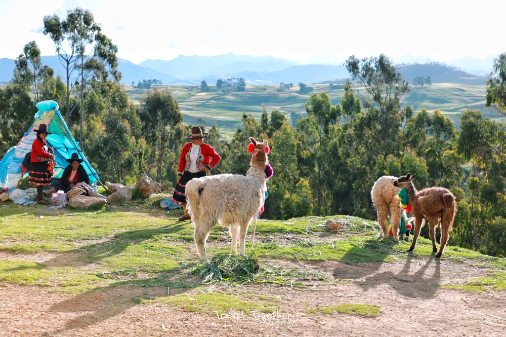 machu-picchu-trips-55